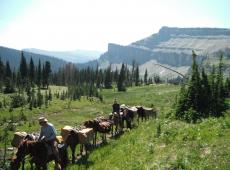 Horse train in the Bob Marshall Wilderness