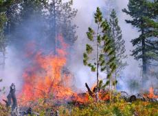 Prescribed burn, Mink Peak, Lolo National Forest
