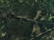 Google Earth image of the Tenderfoot Creek Experimental Forest. Experimental shelterwood harvests are visible in the Spring Park sub-watershed (top right) and the Sun Creek sub-watershed (bottom right).