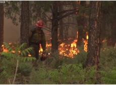 US Forest Service - wildland fire