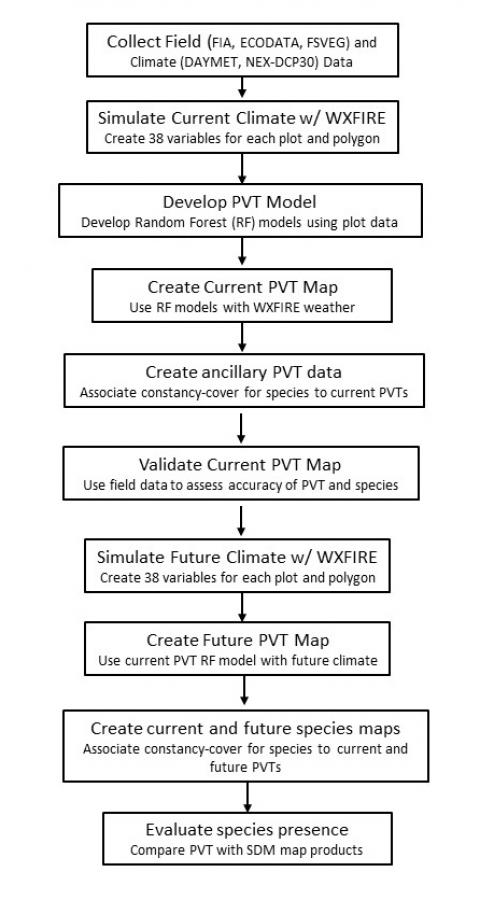The flow chart of procedures used in this study to create future Potential Vegetation Type (PVT) and species presence maps.