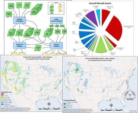 Montage of graphics showing the risk assessment framework, a pie chart of relative importance weights, national maps of expected losses and expected benefits.