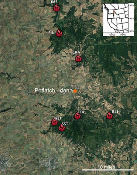 Locations of our sampling sites at the edge of what was historically Palouse prairie, but is now cultivated land.