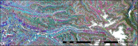 Aerial view of tree list output for a section of the Olympic Peninsula, Washington. Each plot ID appears with a different color. Plots cluster along biophysical gradients driven by mountainous topography and stream corridors.