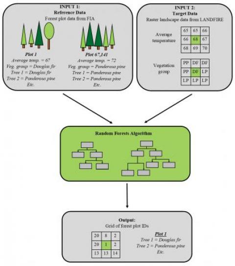 The project workflow. FIA forest plots (reference data) and raster landscape data from LANDFIRE (target data) were employed in a random forests algorithm that imputed the plot data to all forested pixels on the CONUS-wide landscape.