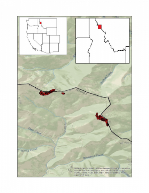 The locations of the two treatment units where trees were individually daylighted in this study. Map of unit locations with marked individual trees, Square Lake on left and Flattop further right.