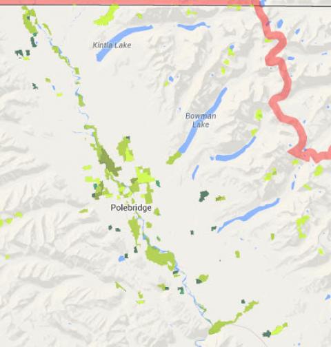 Predicted 2060 habitat for quaking aspen, black cottonwood, and paper birch without further climate change in the North Fork of the Flathead River, western Montana. Pink lines are boundary with Canada and Continental Divide. Results from FireBGCv2 model.