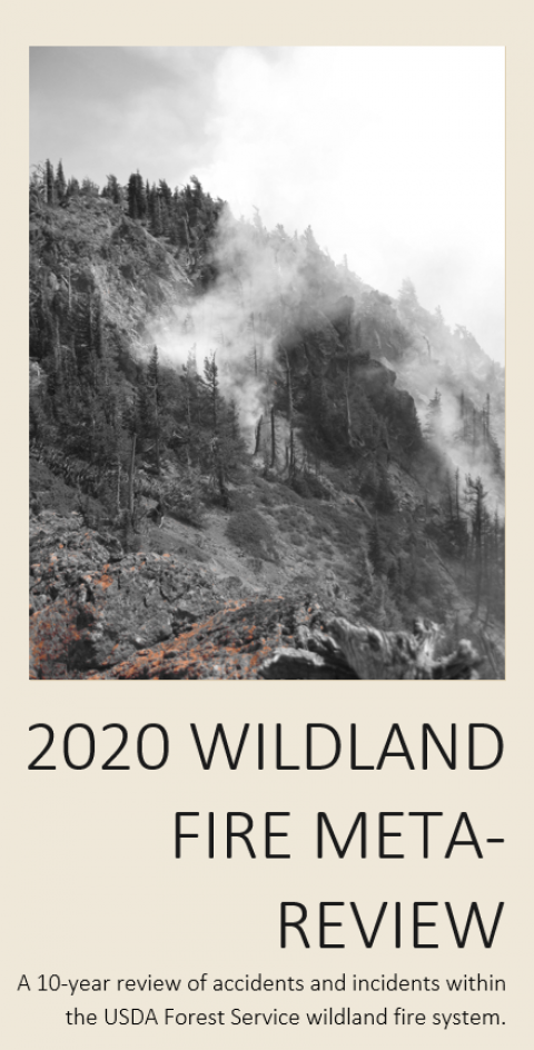 2020 Wildland Fire Meta-Review book cover 